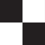 Black and White Check